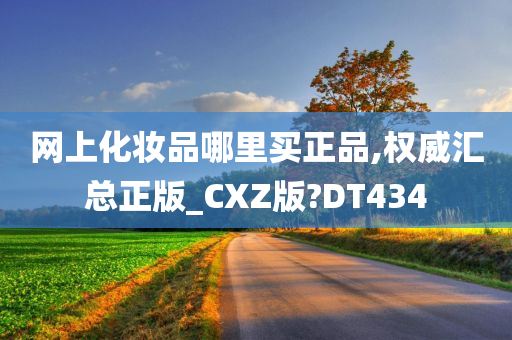 网上化妆品哪里买正品,权威汇总正版_CXZ版?DT434