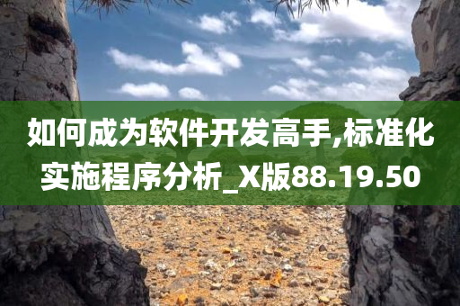 如何成为软件开发高手,标准化实施程序分析_X版88.19.50