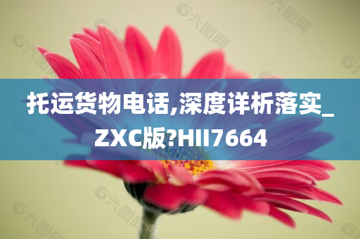 托运货物电话,深度详析落实_ZXC版?HII7664