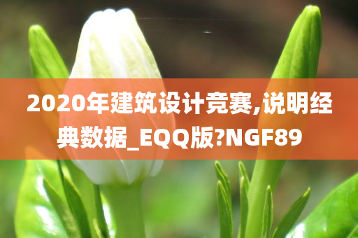 2020年建筑设计竞赛,说明经典数据_EQQ版?NGF89