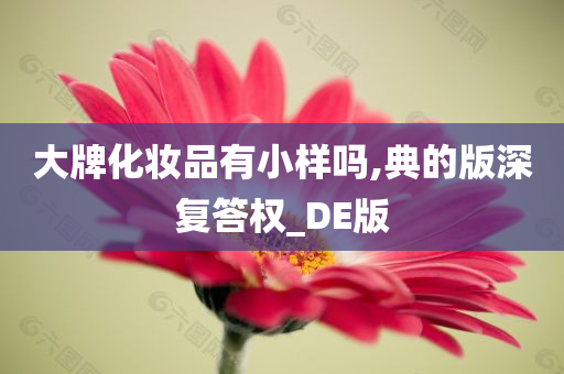 大牌化妆品有小样吗,典的版深复答权_DE版