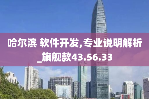 哈尔滨 软件开发,专业说明解析_旗舰款43.56.33