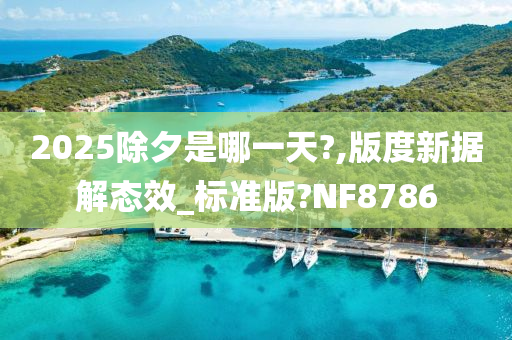 2025除夕是哪一天?,版度新据解态效_标准版?NF8786