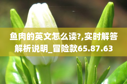 鱼肉的英文怎么读?,实时解答解析说明_冒险款65.87.63