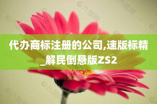 代办商标注册的公司,速版标精_解民倒悬版ZS2