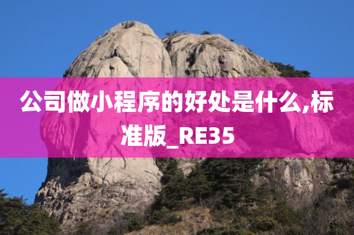 公司做小程序的好处是什么,标准版_RE35