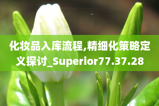 化妆品入库流程,精细化策略定义探讨_Superior77.37.28