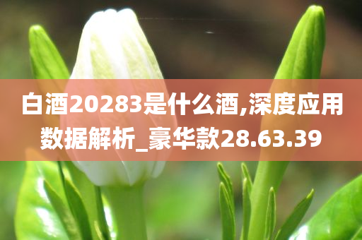 白酒20283是什么酒,深度应用数据解析_豪华款28.63.39