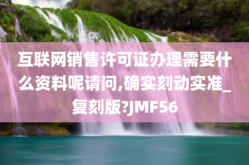 互联网销售许可证办理需要什么资料呢请问,确实刻动实准_复刻版?JMF56