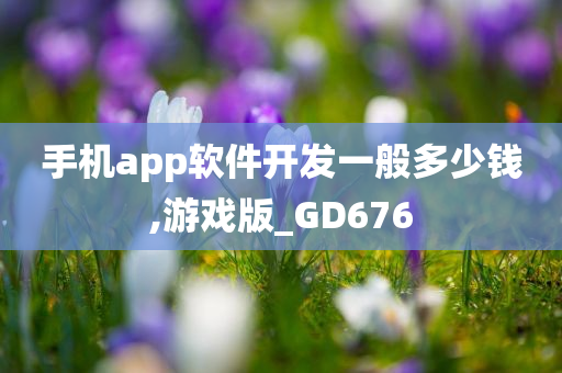 手机app软件开发一般多少钱,游戏版_GD676