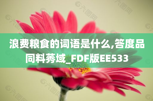 浪费粮食的词语是什么,答度品同料莠域_FDF版EE533