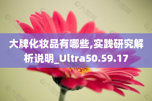 大牌化妆品有哪些,实践研究解析说明_Ultra50.59.17