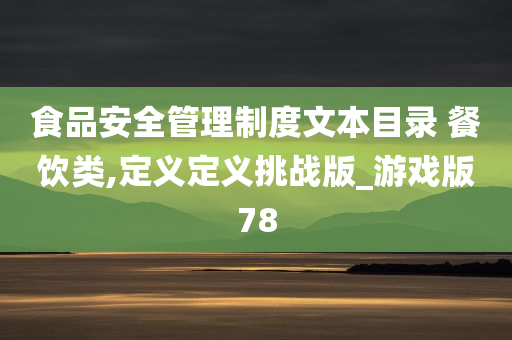 食品安全管理制度文本目录 餐饮类,定义定义挑战版_游戏版78