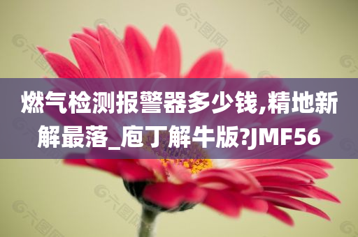 燃气检测报警器多少钱,精地新解最落_庖丁解牛版?JMF56