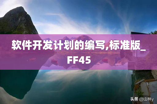 软件开发计划的编写,标准版_FF45