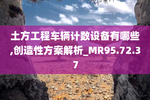 土方工程车辆计数设备有哪些,创造性方案解析_MR95.72.37