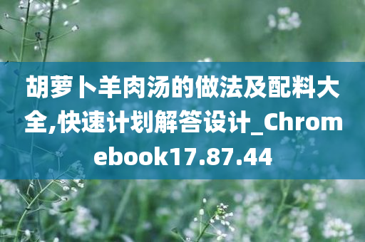 胡萝卜羊肉汤的做法及配料大全,快速计划解答设计_Chromebook17.87.44