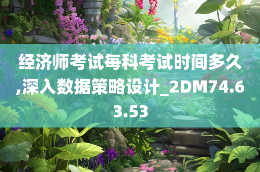 经济师考试每科考试时间多久,深入数据策略设计_2DM74.63.53