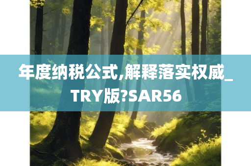 年度纳税公式,解释落实权威_TRY版?SAR56