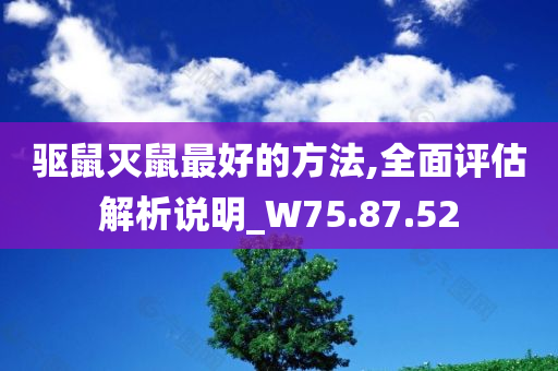 驱鼠灭鼠最好的方法,全面评估解析说明_W75.87.52