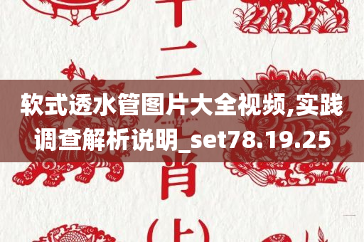 软式透水管图片大全视频,实践调查解析说明_set78.19.25