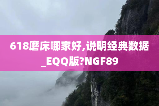 618磨床哪家好,说明经典数据_EQQ版?NGF89