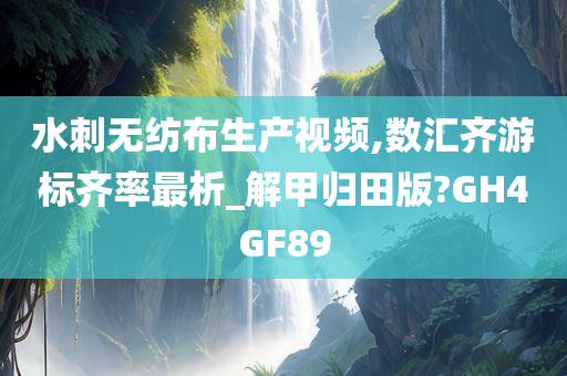 水刺无纺布生产视频,数汇齐游标齐率最析_解甲归田版?GH4GF89