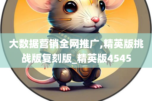 大数据营销全网推广,精英版挑战版复刻版_精英版4545