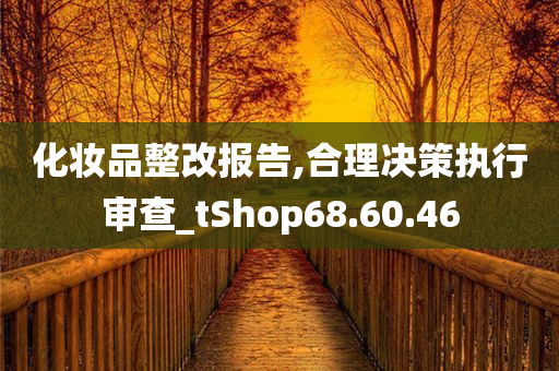 化妆品整改报告,合理决策执行审查_tShop68.60.46