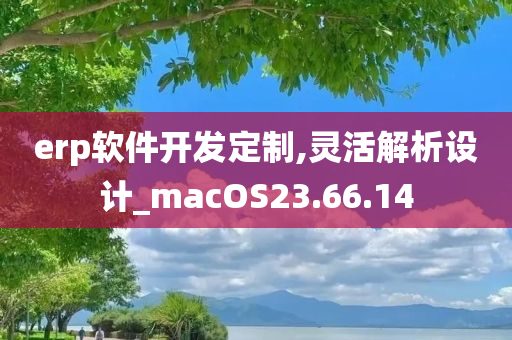 erp软件开发定制,灵活解析设计_macOS23.66.14