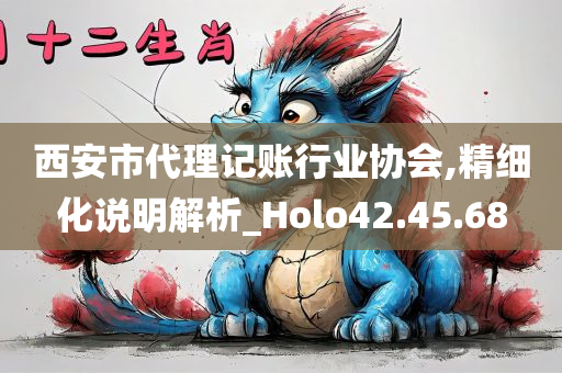 西安市代理记账行业协会,精细化说明解析_Holo42.45.68