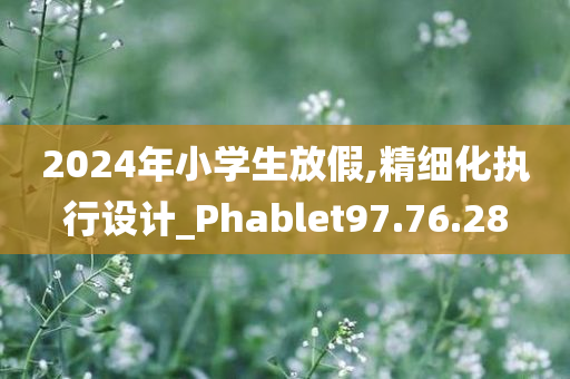 2024年小学生放假,精细化执行设计_Phablet97.76.28