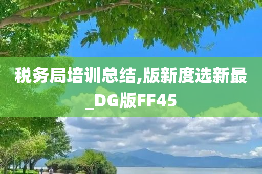 税务局培训总结,版新度选新最_DG版FF45