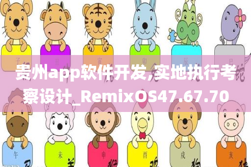 贵州app软件开发,实地执行考察设计_RemixOS47.67.70