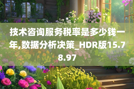 技术咨询服务税率是多少钱一年,数据分析决策_HDR版15.78.97