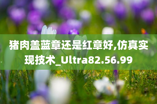 猪肉盖蓝章还是红章好,仿真实现技术_Ultra82.56.99