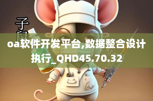 oa软件开发平台,数据整合设计执行_QHD45.70.32