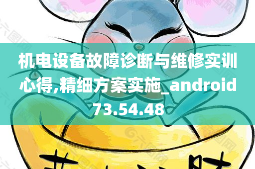 机电设备故障诊断与维修实训心得,精细方案实施_android73.54.48