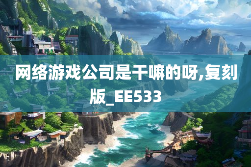 网络游戏公司是干嘛的呀,复刻版_EE533