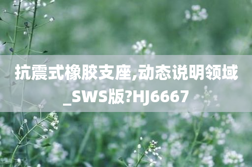 抗震式橡胶支座,动态说明领域_SWS版?HJ6667