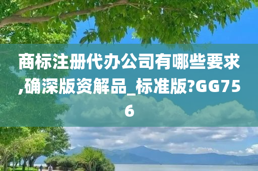 商标注册代办公司有哪些要求,确深版资解品_标准版?GG756