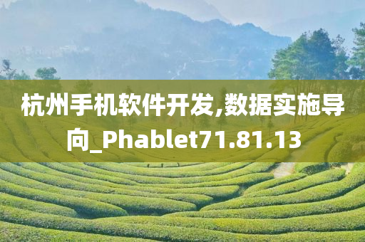 杭州手机软件开发,数据实施导向_Phablet71.81.13