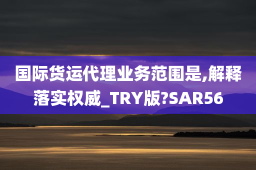 国际货运代理业务范围是,解释落实权威_TRY版?SAR56