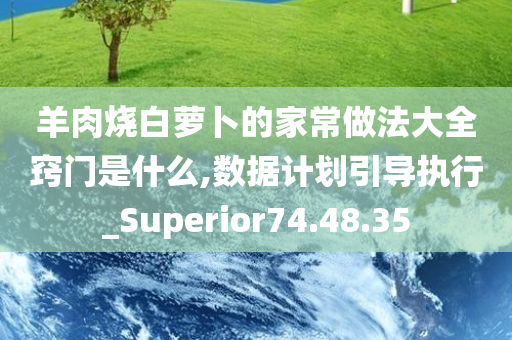 羊肉烧白萝卜的家常做法大全窍门是什么,数据计划引导执行_Superior74.48.35