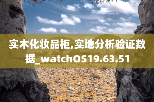 实木化妆品柜,实地分析验证数据_watchOS19.63.51