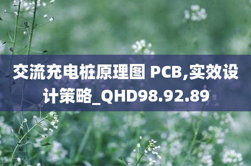 交流充电桩原理图 PCB,实效设计策略_QHD98.92.89