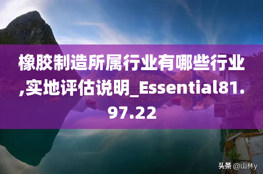 橡胶制造所属行业有哪些行业,实地评估说明_Essential81.97.22