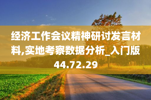 经济工作会议精神研讨发言材料,实地考察数据分析_入门版44.72.29