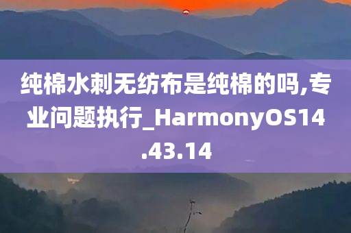 纯棉水刺无纺布是纯棉的吗,专业问题执行_HarmonyOS14.43.14