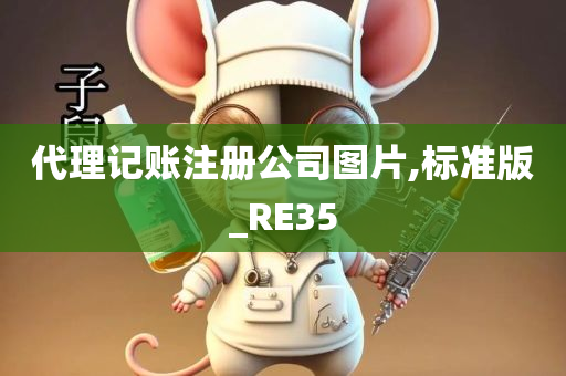 代理记账注册公司图片,标准版_RE35